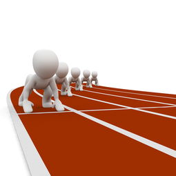 中国篮球职业联赛赛事风险管理研究，中国篮球协会审定的最新《篮球竞赛规则》