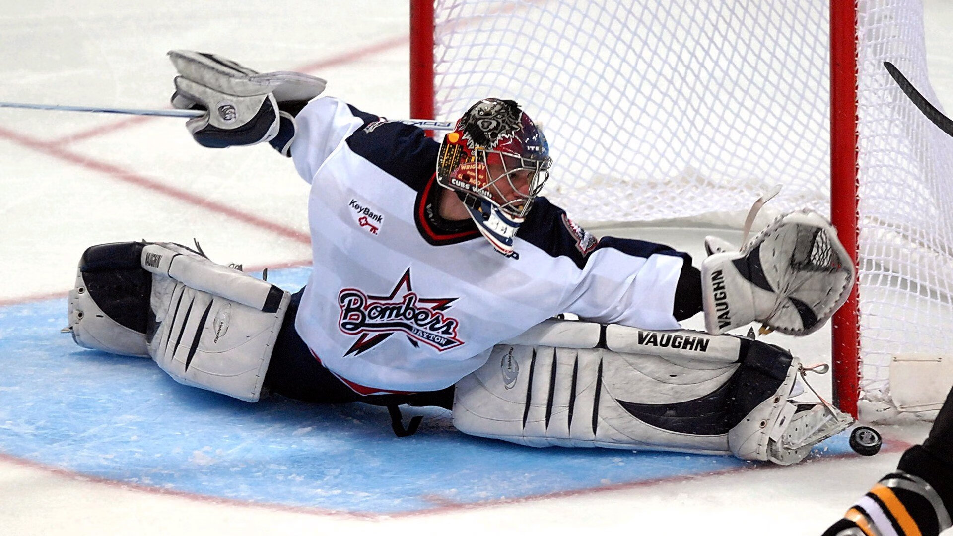 沃尔什再破记录引爆社媒热搜，沃尔什么